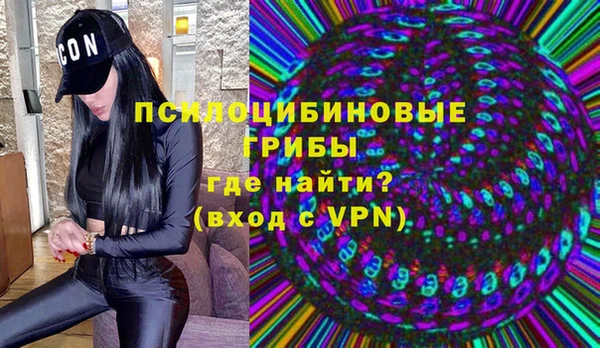 метадон Арсеньев
